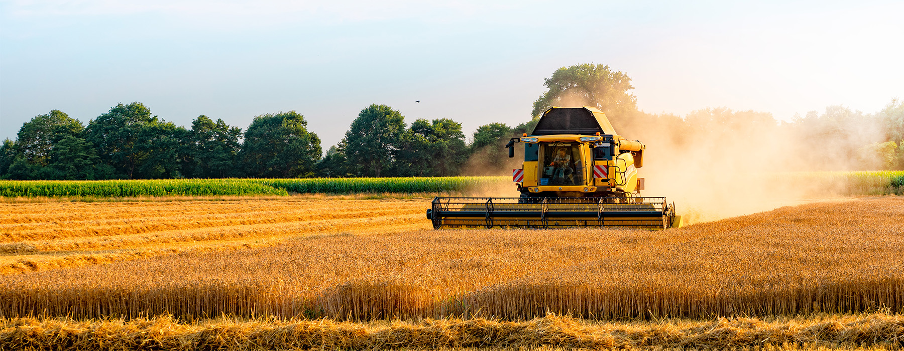 Arbeit auf einem landwirtschaftlichen Feld