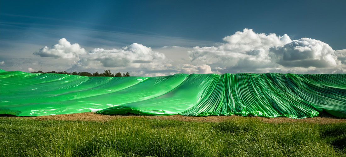 Landschaft mit grüner Plane